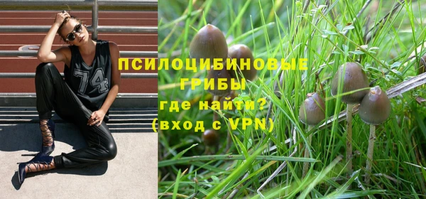 спайс Аркадак